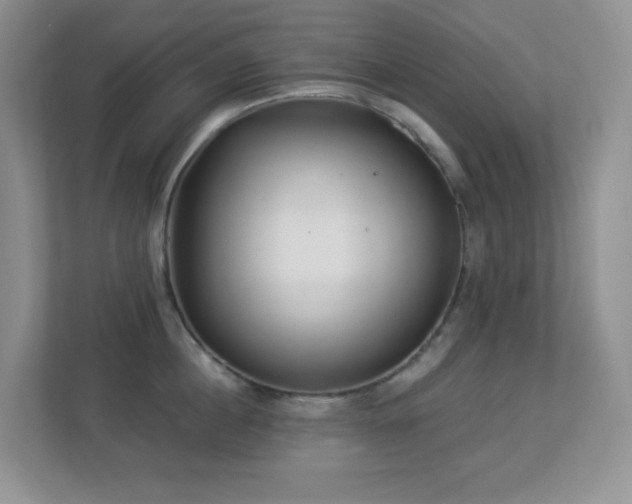 X0000113880860200909241351