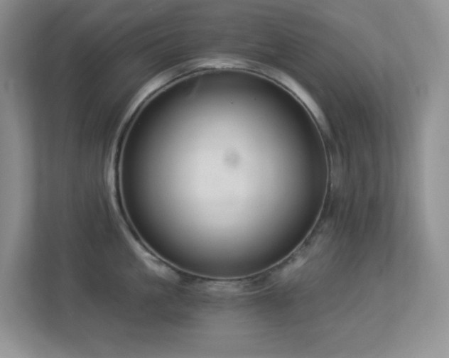 X0000113880861200909241351