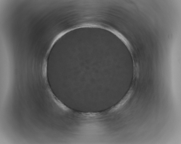 X0000113880862200909241351