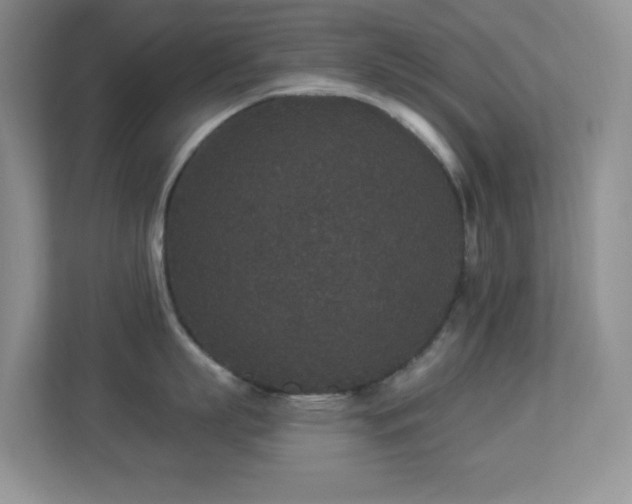 X0000113880863200909241351