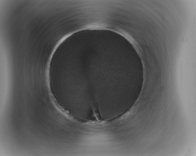 X0000113880864200909241351