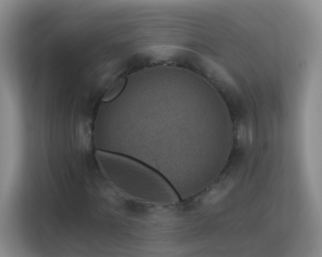 X0000113880868200909241350