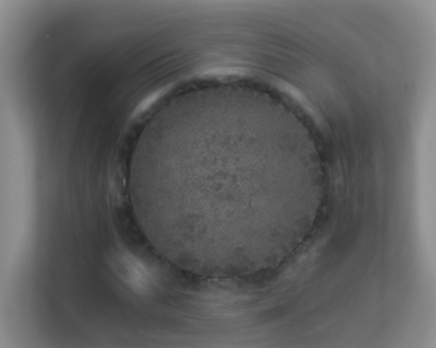 X0000113880871200909241350