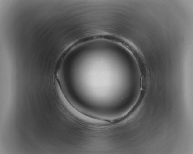 X0000113880873200909241350