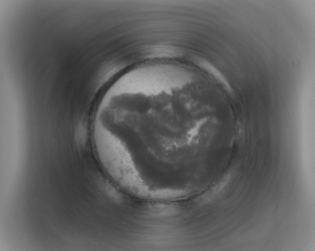 X0000113880874200909241350