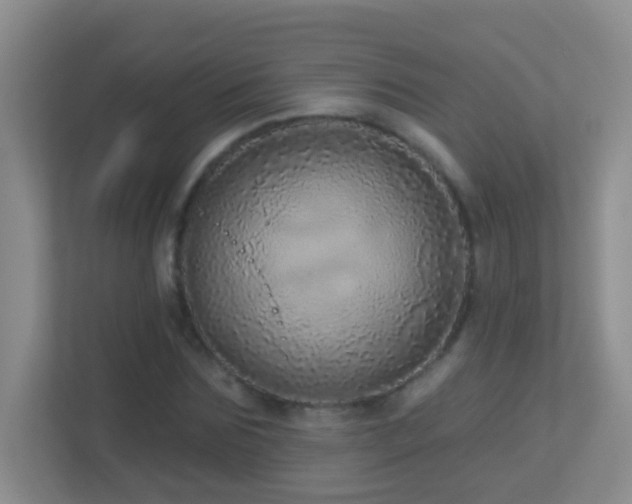 X0000113880875200909241350