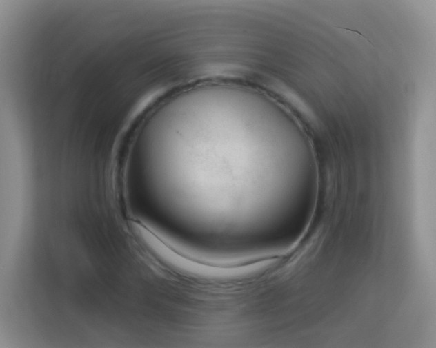 X0000113880878200909241350