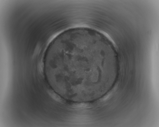 X0000113880879200909241350