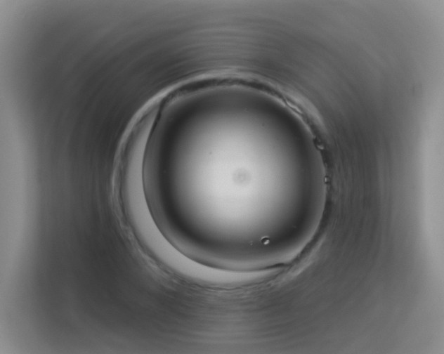 X0000113880880200909241350