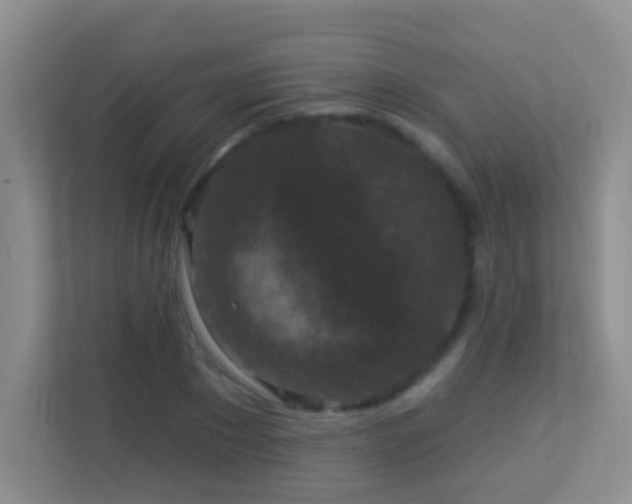 X0000113880881200909241350