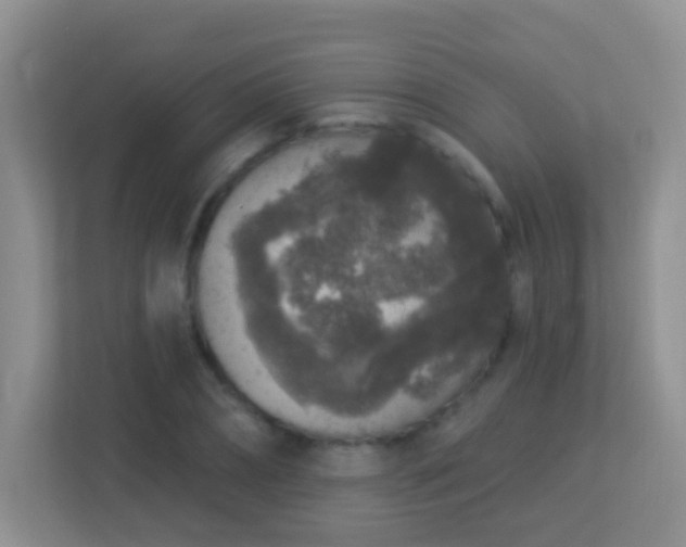 X0000113880882200909241350