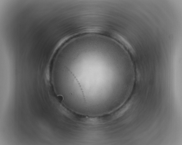 X0000113880883200909241350