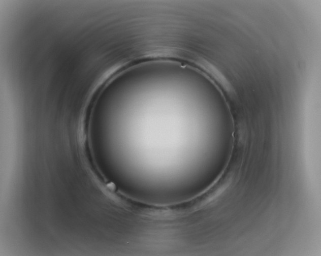 X0000113880885200909241350
