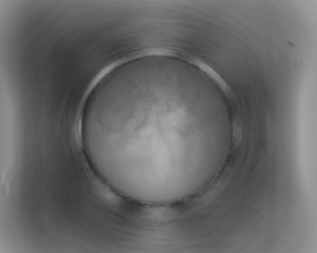 X0000113880886200909241350