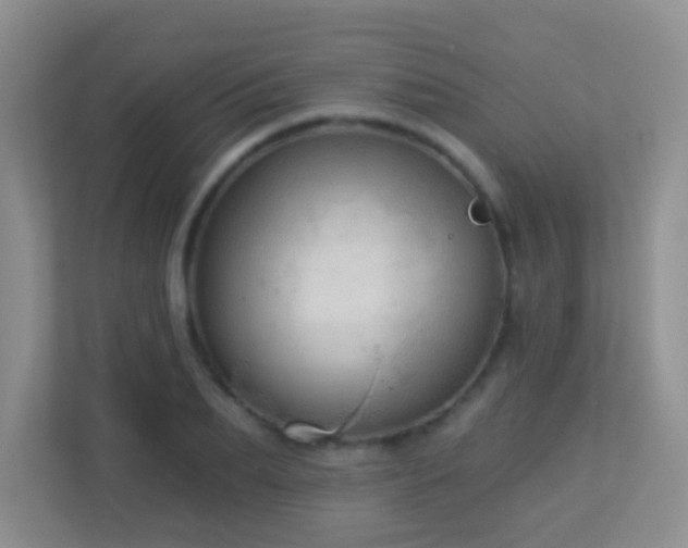X0000113880887200909241350