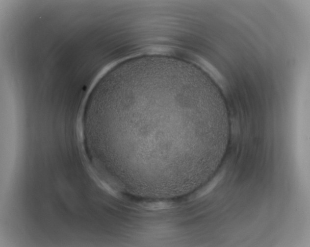 X0000113880891200909241350
