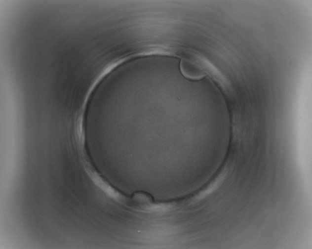 X0000113880892200909241350
