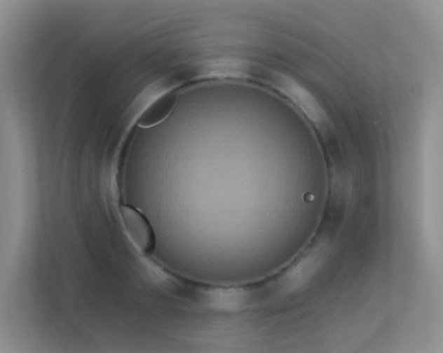 X0000113880893200909241350