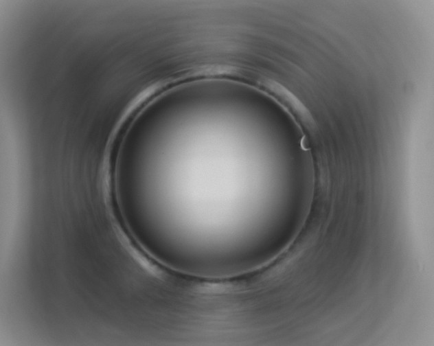X0000113880894200909241350