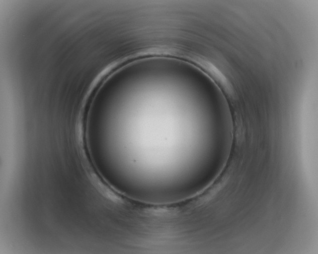 X0000113880896200909241350