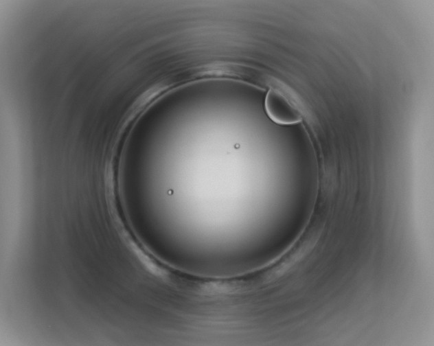 X0000113880898200909241350
