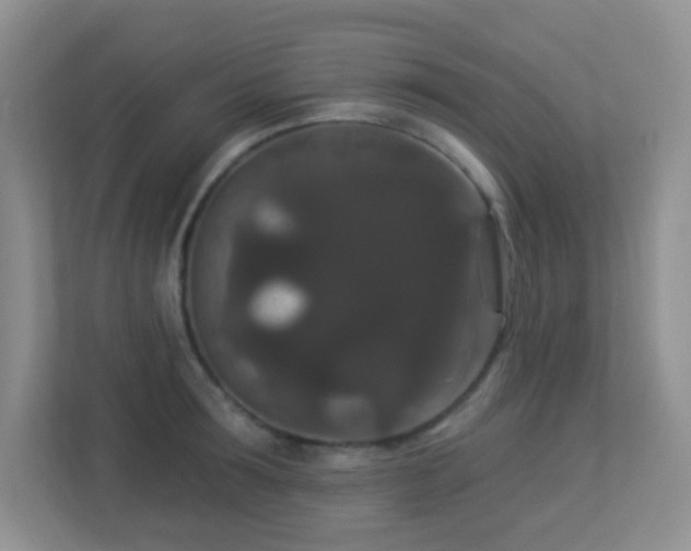 X0000113880899200909241350