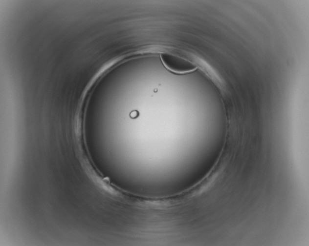 X0000113880900200909241350