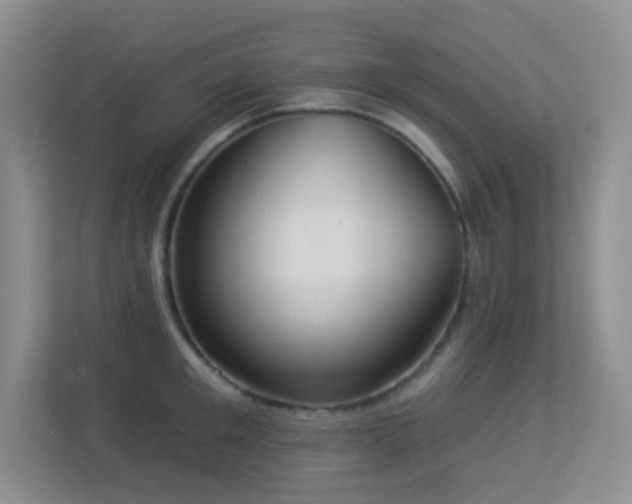 X0000113880901200909241350