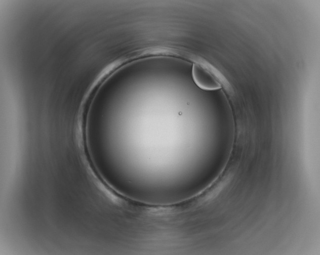 X0000113880902200909241350