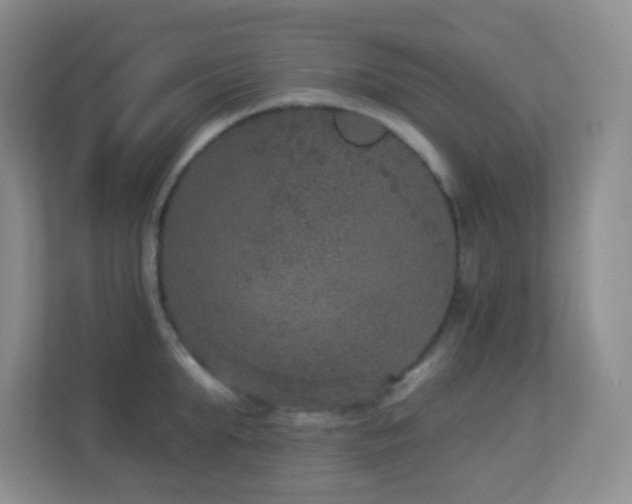 X0000113880903200909241350
