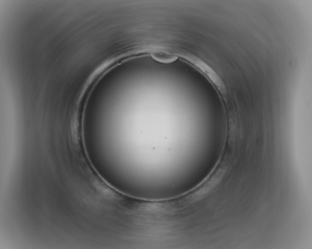 X0000113880904200909241350