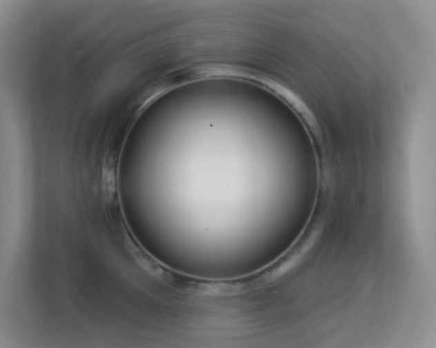 X0000113880905200909241350