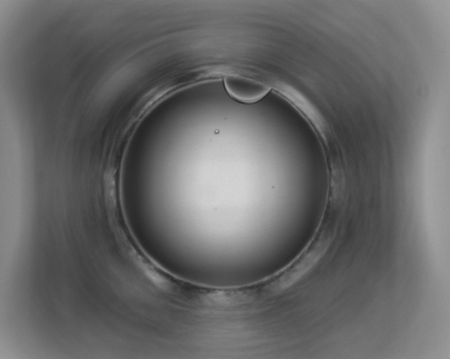 X0000113880906200909241350