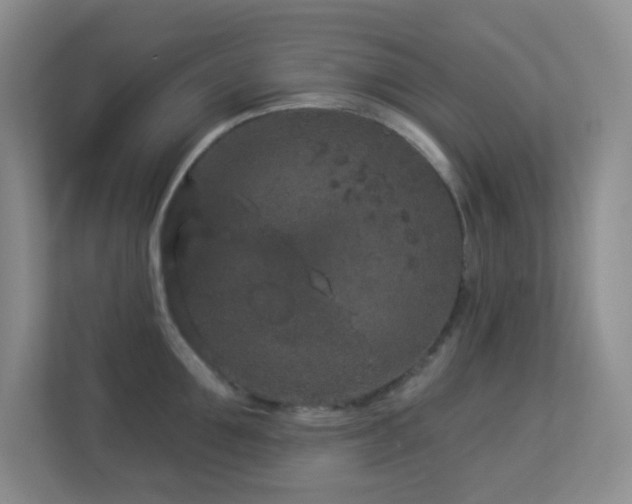 X0000113880907200909241350
