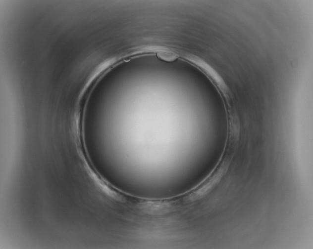 X0000113880910200909241350