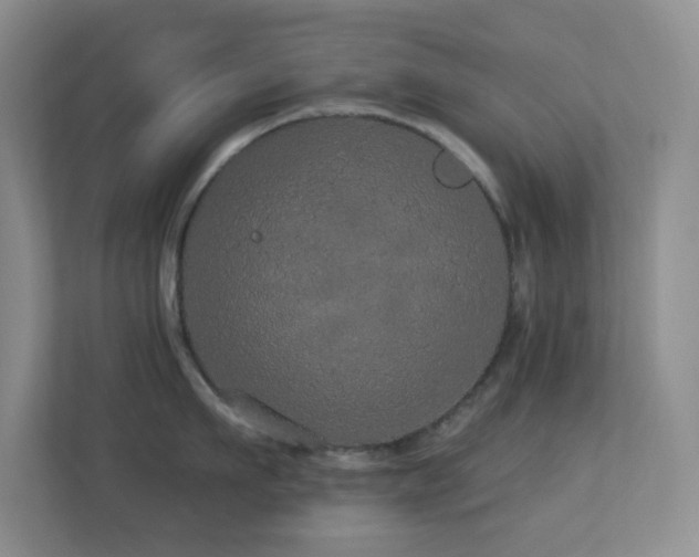 X0000113880911200909241350