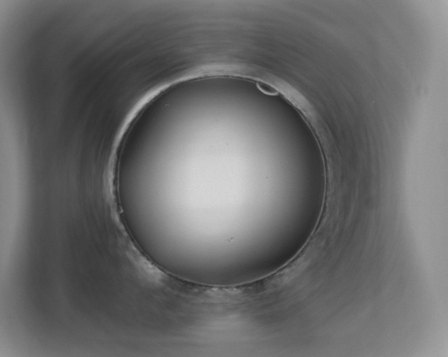 X0000113880912200909241350