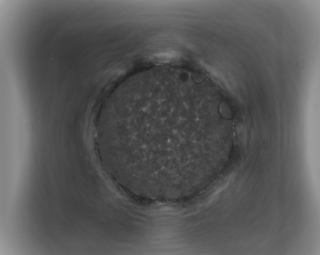 X0000113880913200909241349