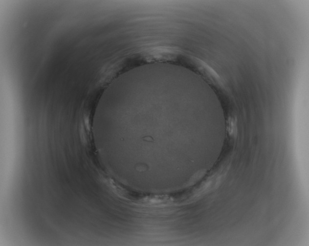 X0000113880915200909241349