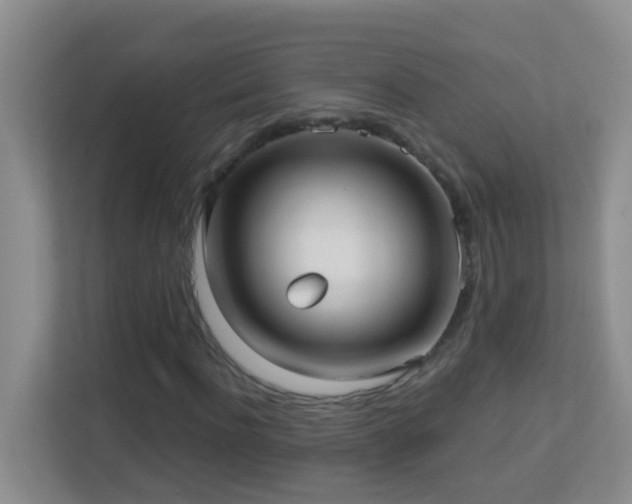 X0000113880916200909241349