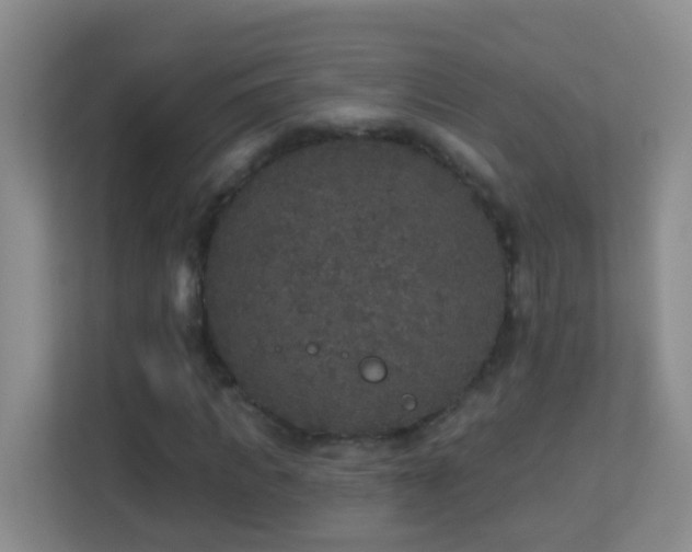 X0000113880917200909241349