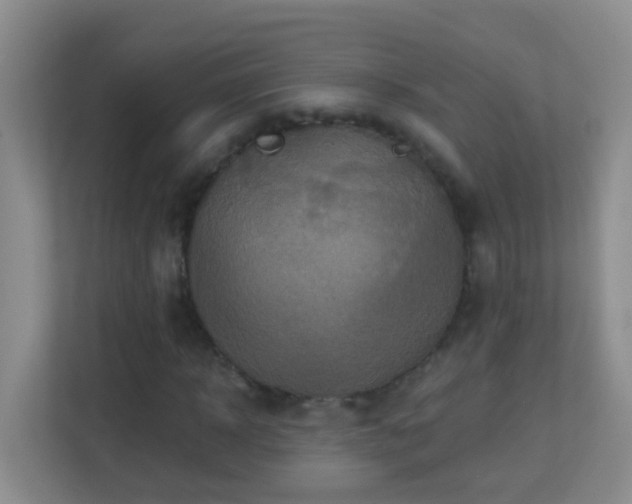X0000113880918200909241349
