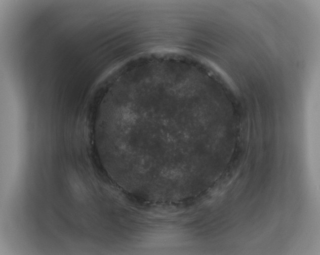 X0000113880919200909241349