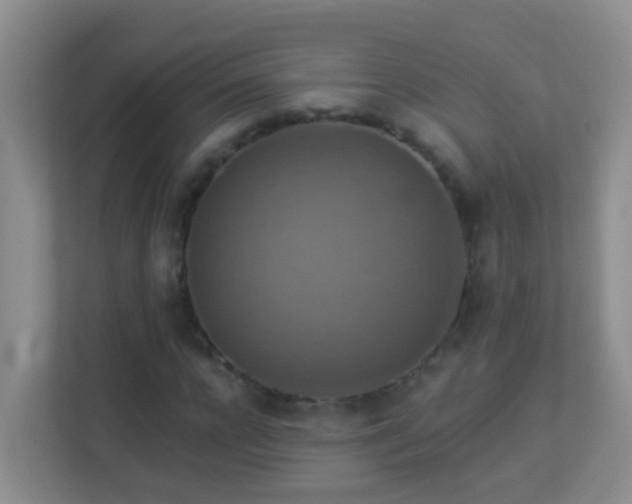 X0000113880920200909241349