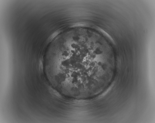 X0000113880921200909241349