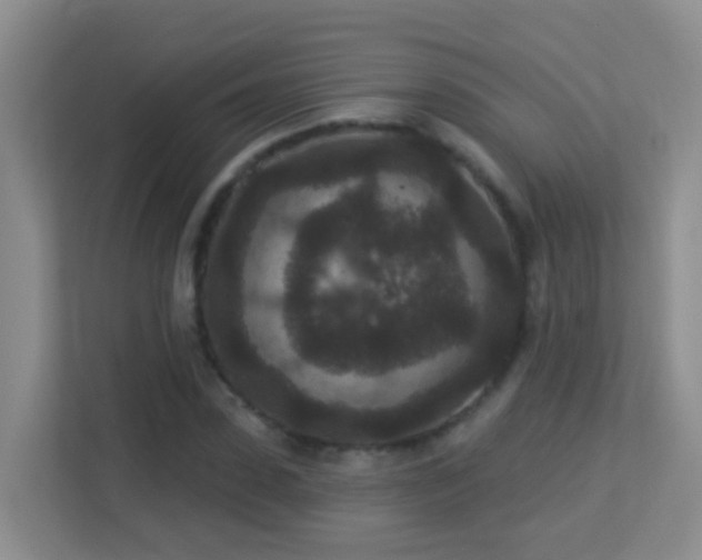X0000113880923200909241349