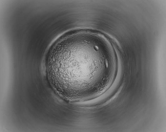X0000113880925200909241349