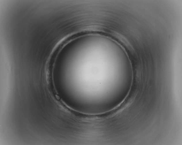 X0000113880926200909241349