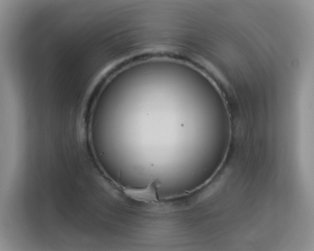 X0000113880927200909241349