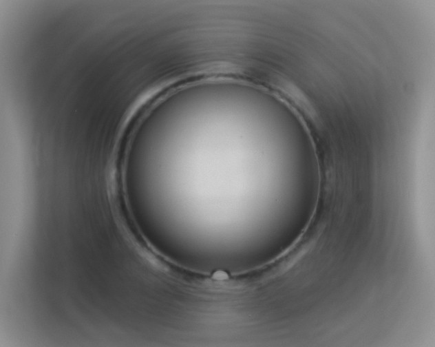 X0000113880928200909241349